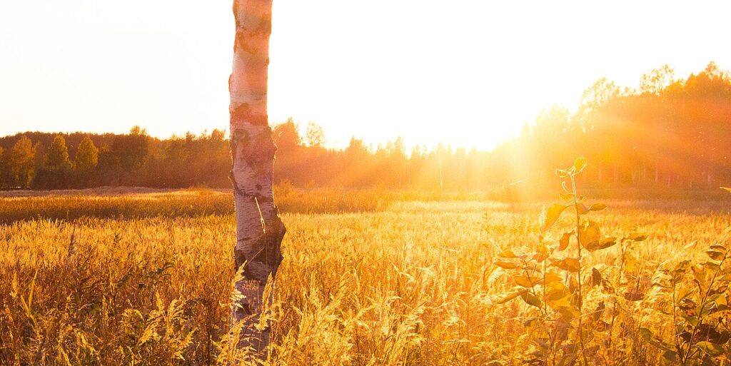 Golden Hour