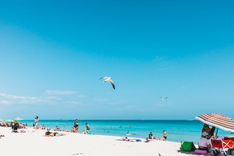 solo travel Miami
