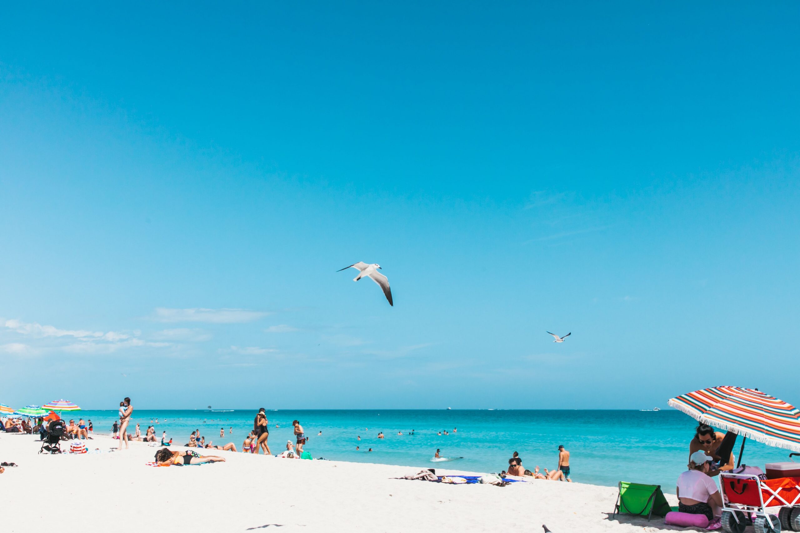 solo travel Miami