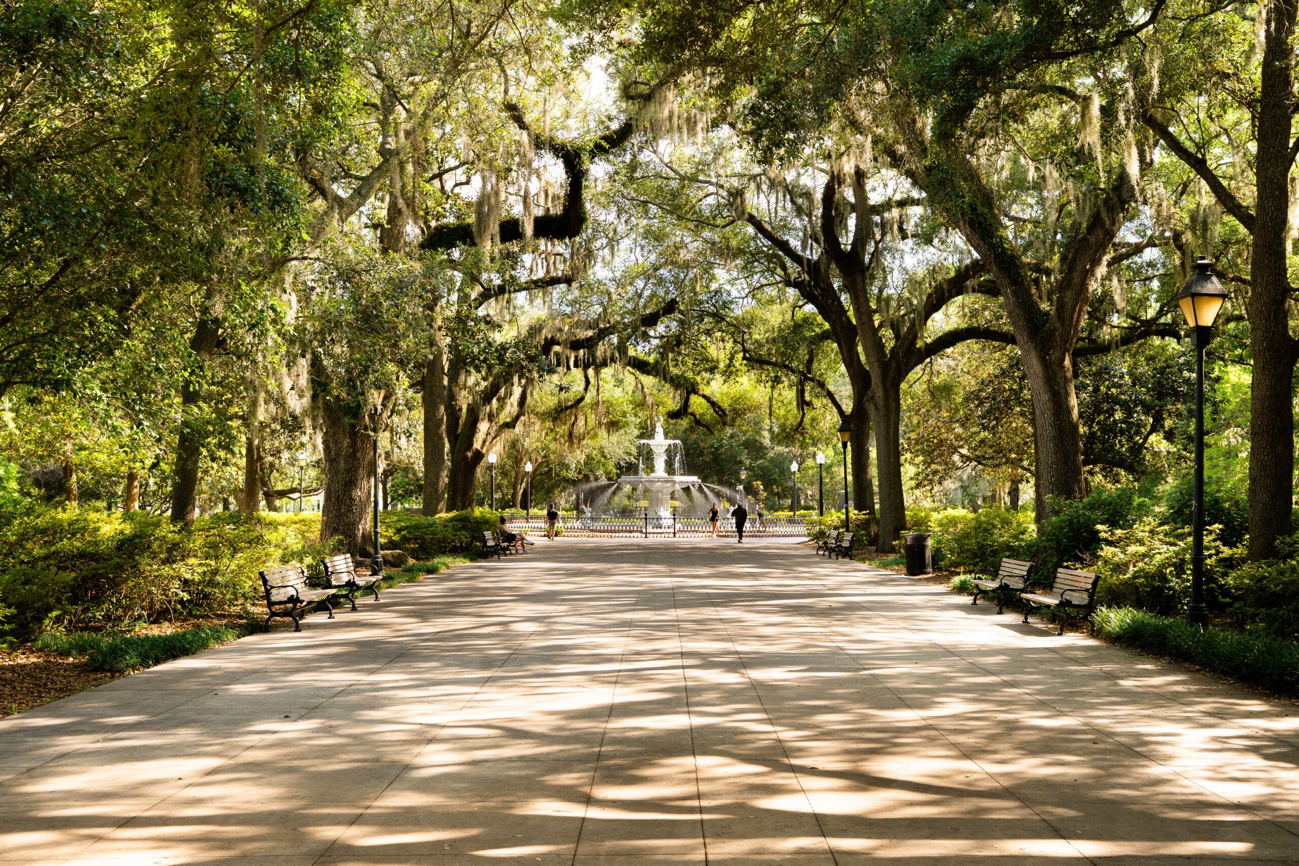 Savannah