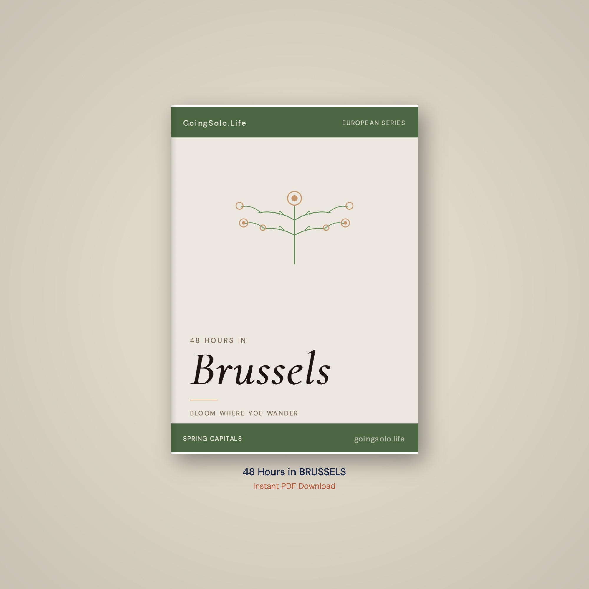 48 Hours in Brussels