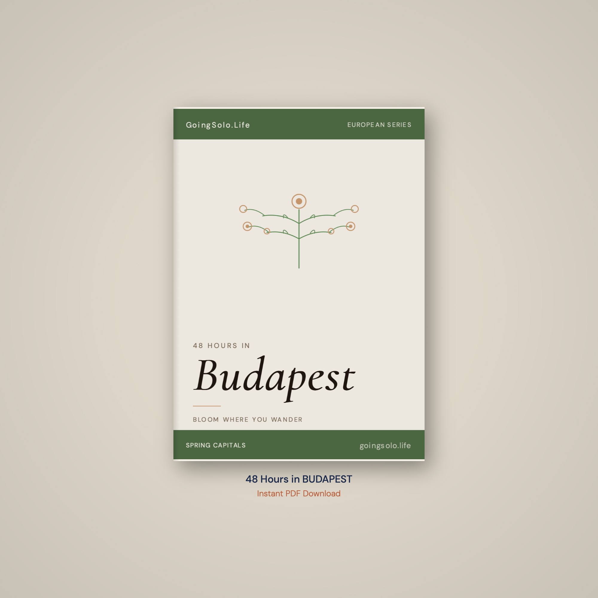 48 Hours in Budapest