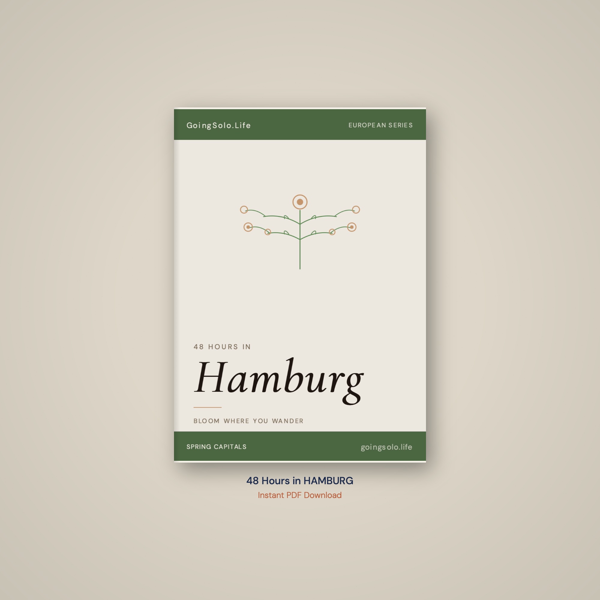 48 Hours in Hamburg