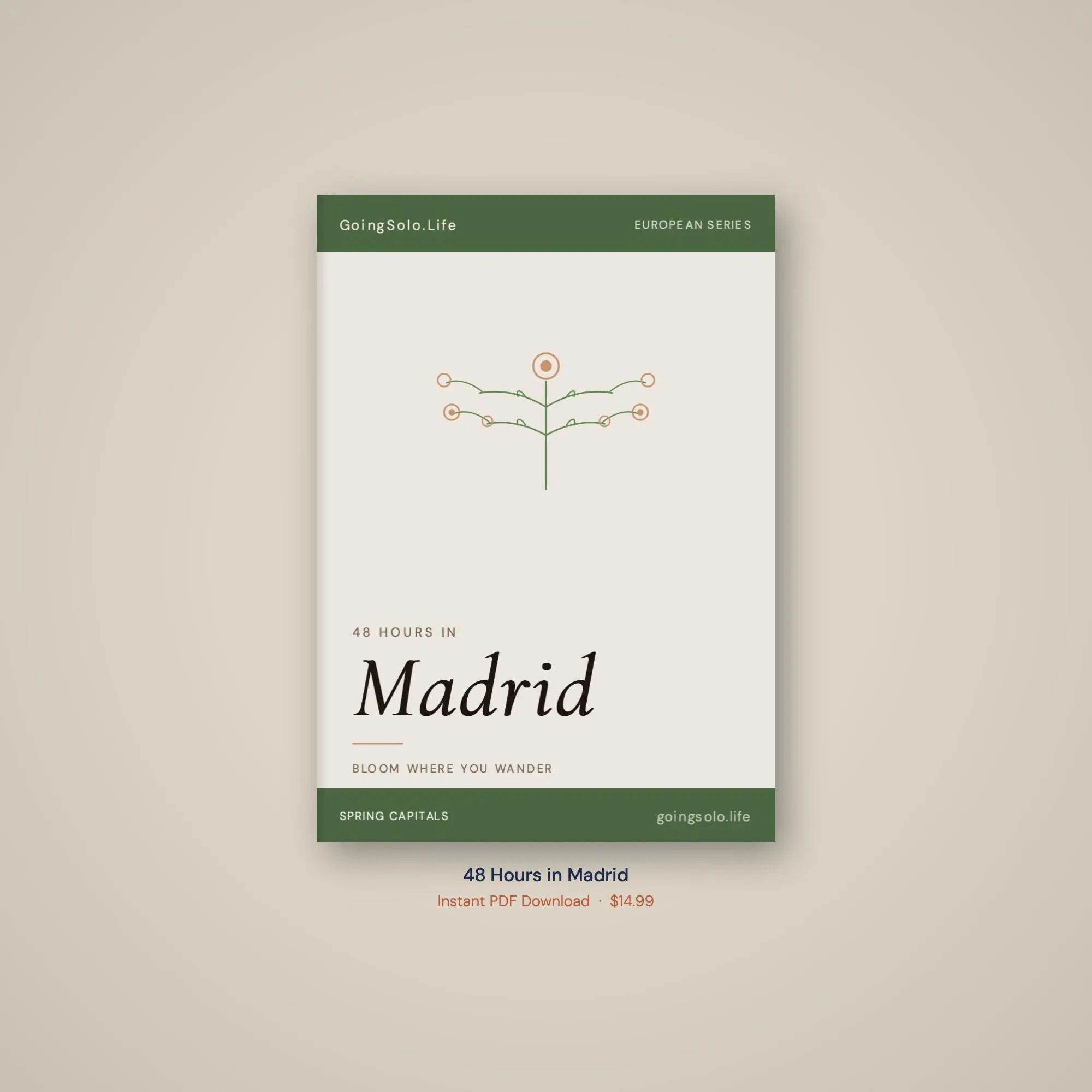 48 Hours in Madrid