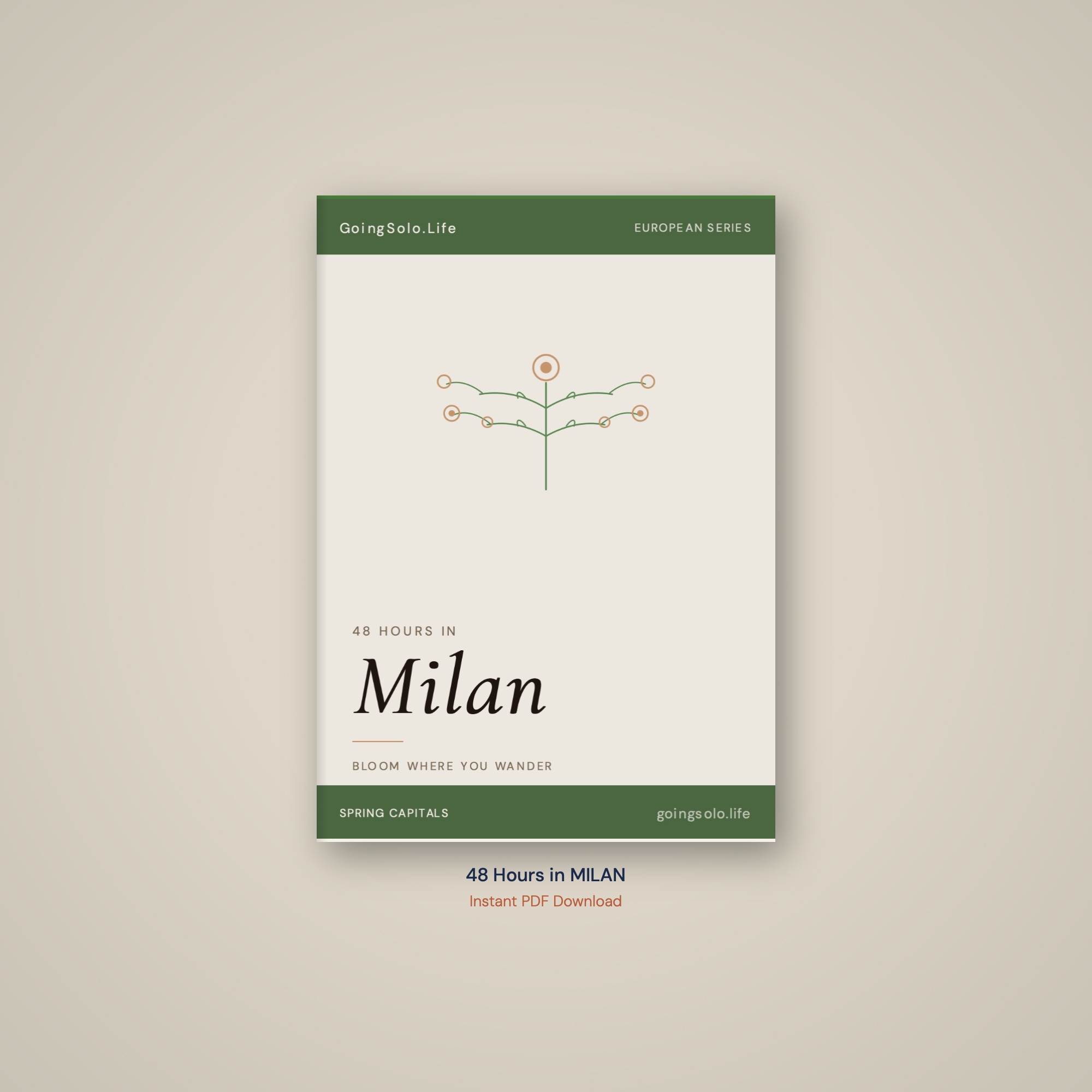 48 Hours in Milan