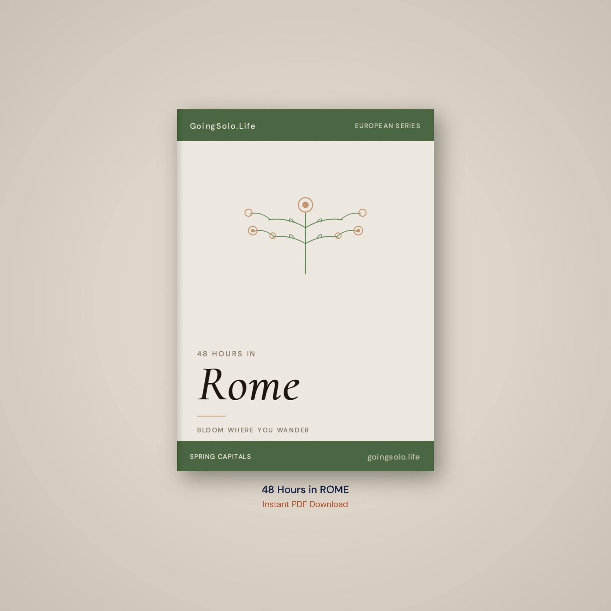 48 Hours in Rome