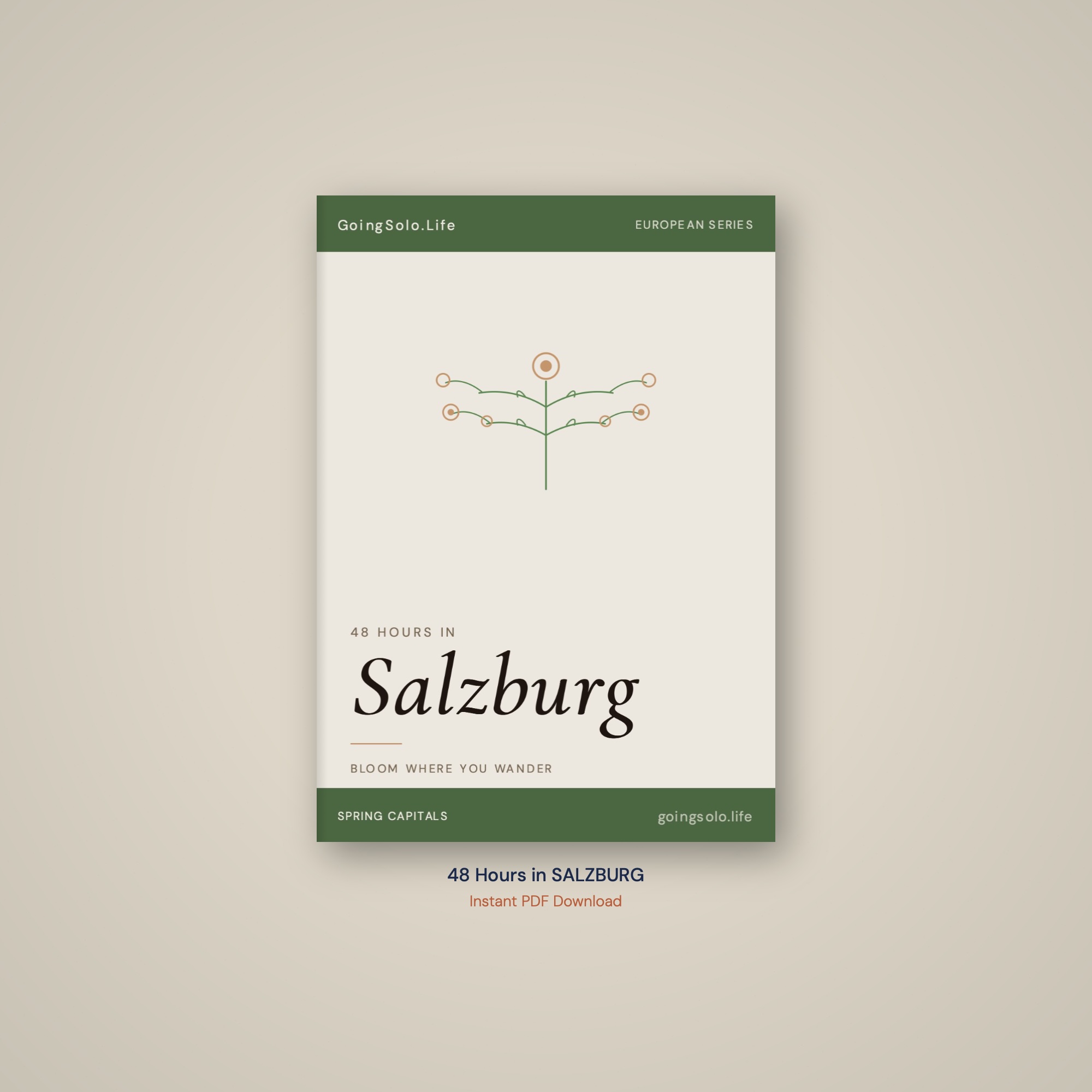 48 Hours in Salzburg