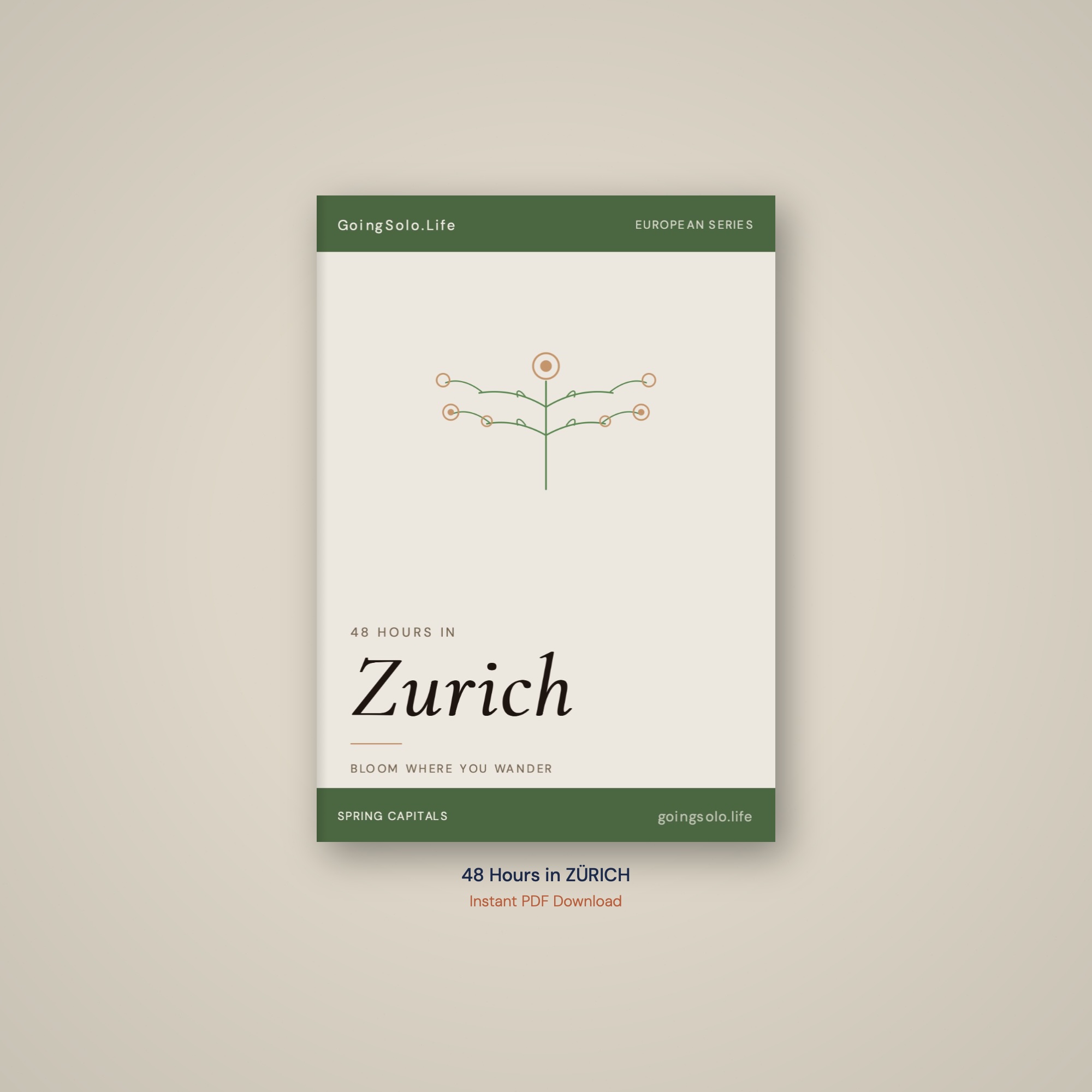 48 Hours in Zurich